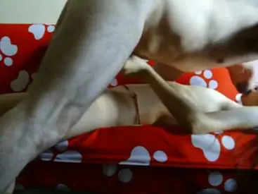 Live ABG Bispak Jakarta Hotel Bintang Lima Skandal Viral Terbaru 2026